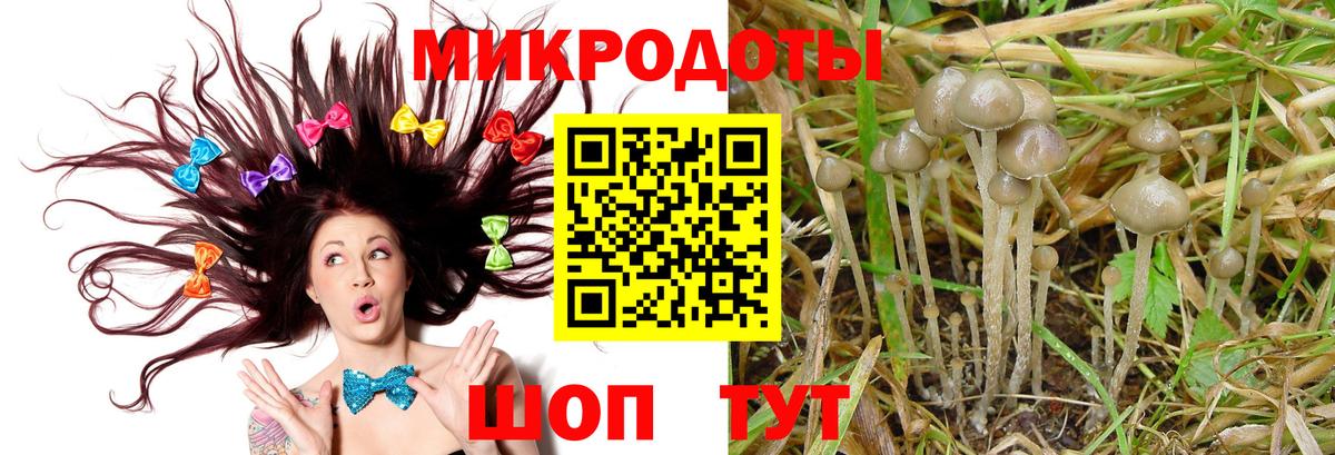 Галлюциногенные грибы GOLDEN TEACHER Сосновоборск