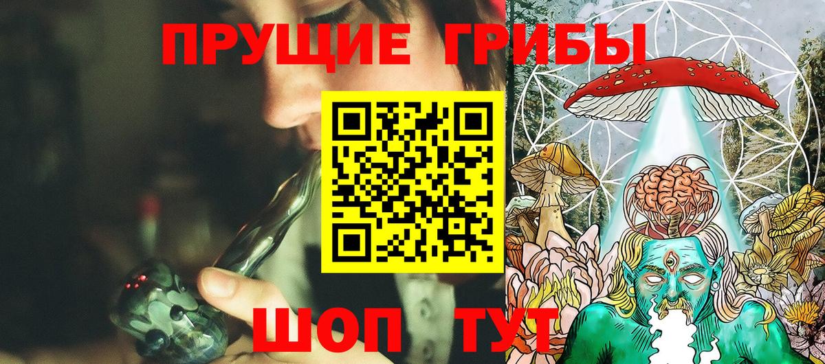 Сосновоборск  купить   Псилоцибиновые грибы GOLDEN TEACHER  Вход с VPN  Галлюциногенные грибы Cubensis 